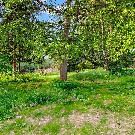 Altstadt Apartment Am Wasser Mit Parkplatz Und Riesigem Garten Bad Kreuznach Ngoại thất bức ảnh