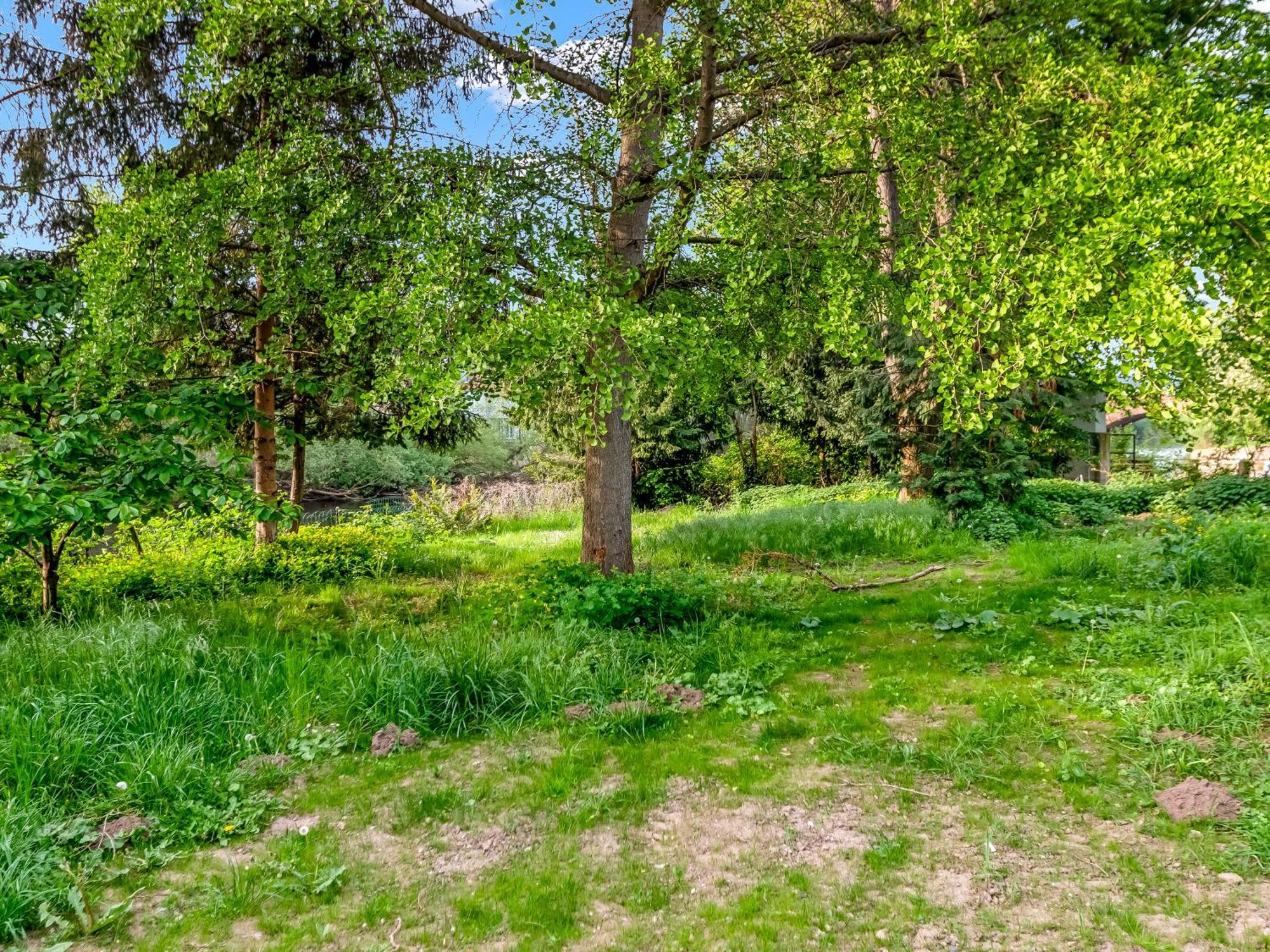 Altstadt Apartment Am Wasser Mit Parkplatz Und Riesigem Garten Bad Kreuznach Ngoại thất bức ảnh