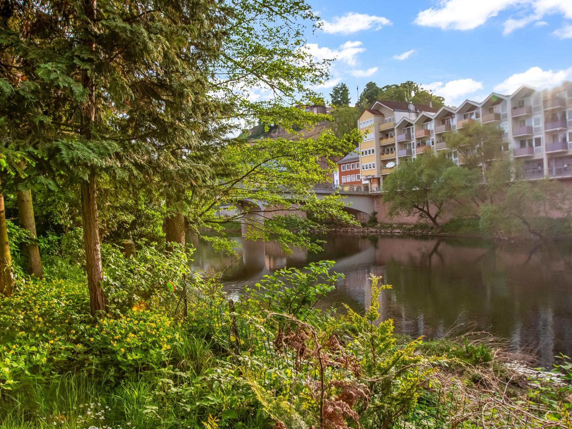 Altstadt Apartment Am Wasser Mit Parkplatz Und Riesigem Garten Bad Kreuznach Ngoại thất bức ảnh